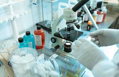 蔬果農藥殘留檢測及質量安全探究