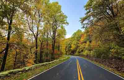 自然市場調研報告