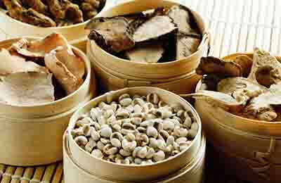 中藥專業(yè)論文