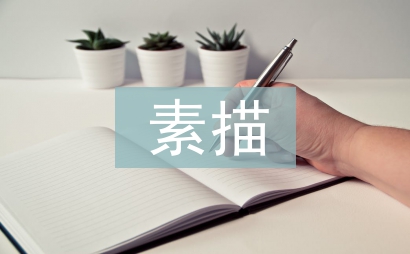 素描社團(tuán)活動(dòng)總結(jié)