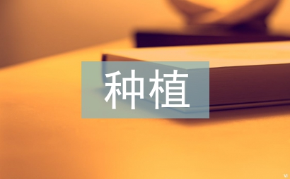 云杉種植常見病蟲害防治分析