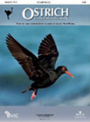 Ostrich雜志