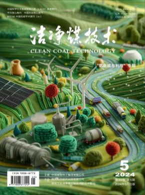 潔凈煤技術(shù)