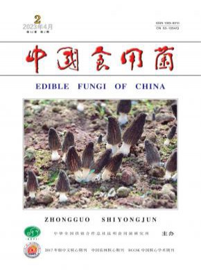 中國食用菌