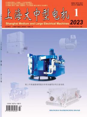 上海大中型電機