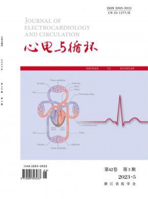 心電與循環(huán)