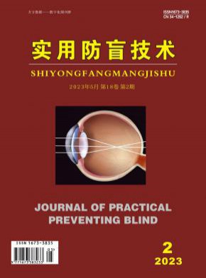 實用防盲技術