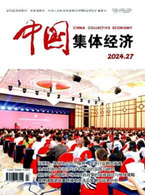 中國(guó)集體經(jīng)濟(jì)